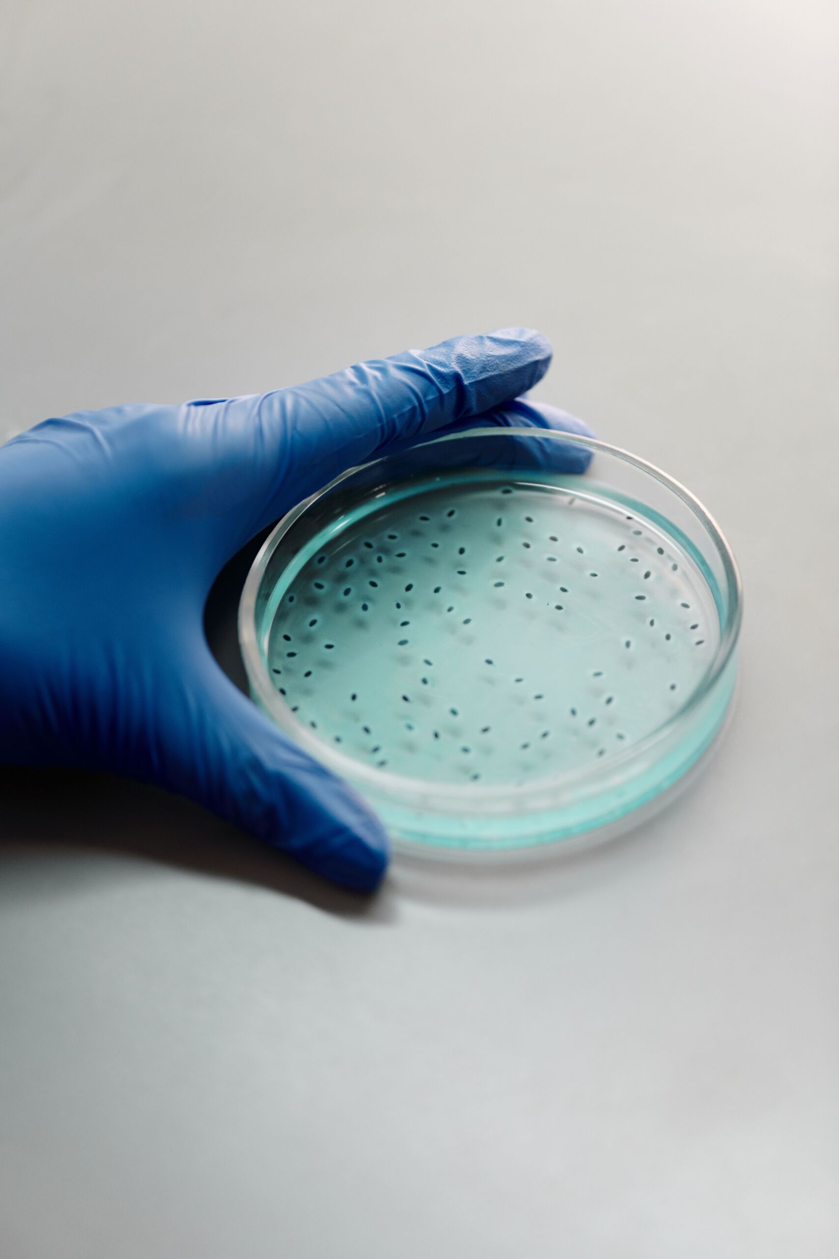 sperm sayısı ve kalitesi nasıl artar embriyoloji laboratuvarı