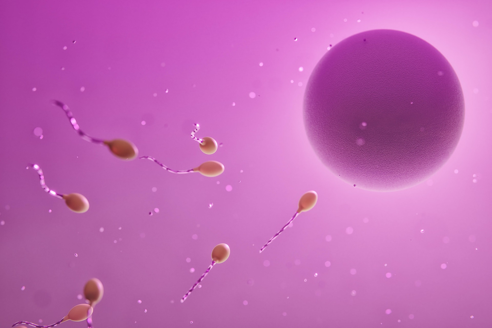 sperm kalitesini etkileyen faktörler morfoloji ve motilite analizi
